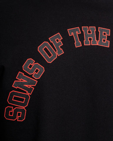 Camiseta Oversize Liberty